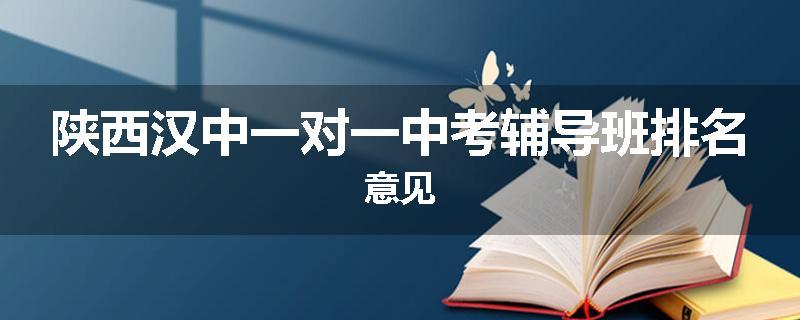 陕西汉中一对一中考辅导班排名意见