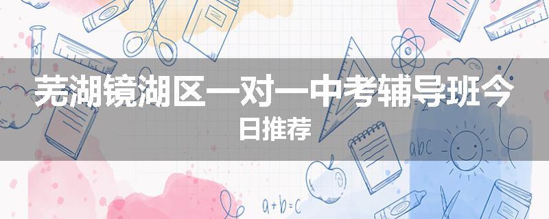 芜湖镜湖区一对一中考辅导班今日推荐