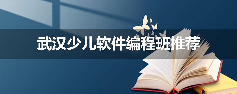 武汉少儿软件编程班推荐