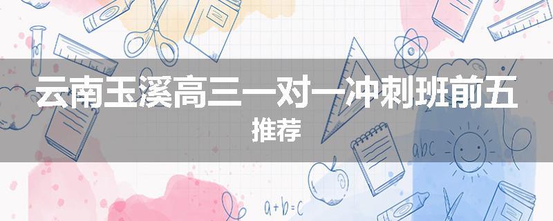 云南玉溪高三一对一冲刺班前五推荐