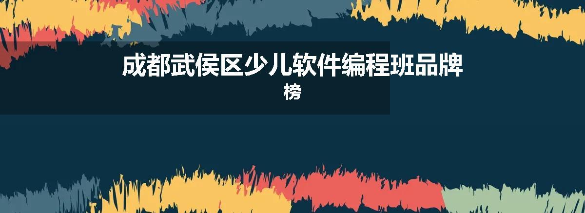 成都武侯区少儿软件编程班品牌榜