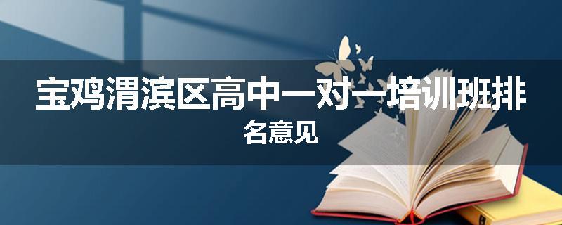 宝鸡渭滨区高中一对一培训班排名意见