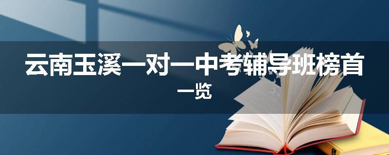 云南玉溪一对一中考辅导班榜首一览
