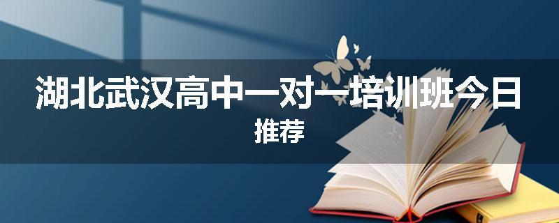 湖北武汉高中一对一培训班今日推荐