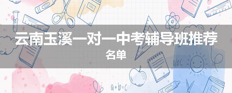 云南玉溪一对一中考辅导班推荐名单