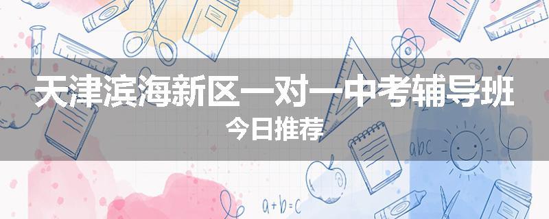 天津滨海新区一对一中考辅导班今日推荐