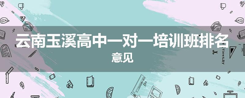 云南玉溪高中一对一培训班排名意见