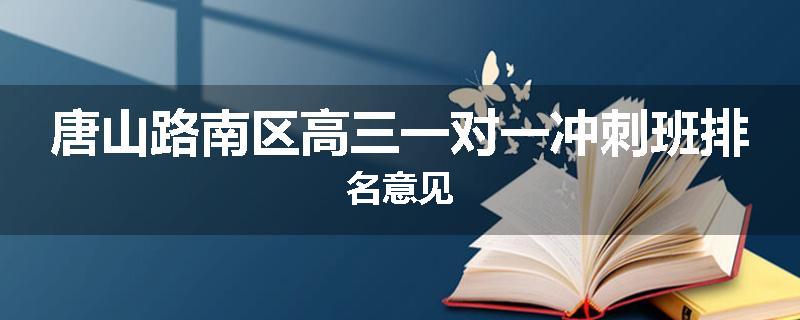 唐山路南区高三一对一冲刺班排名意见