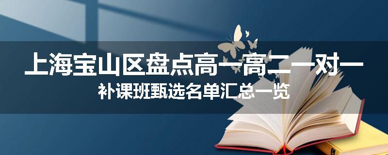 上海宝山区盘点高一高二一对一补课班甄选名单汇总一览