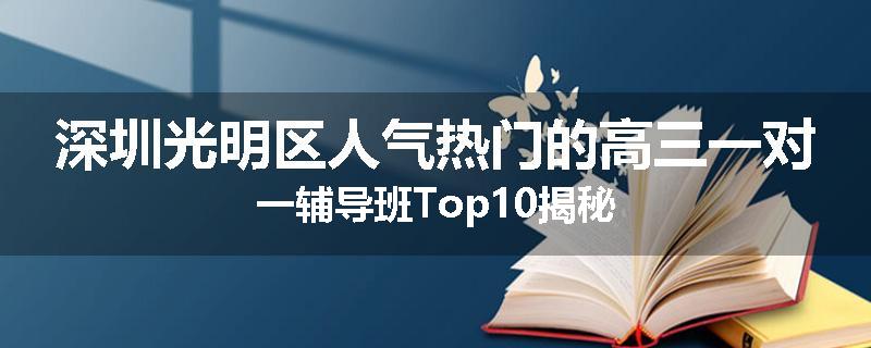 深圳光明区人气热门的高三一对一辅导班Top10揭秘