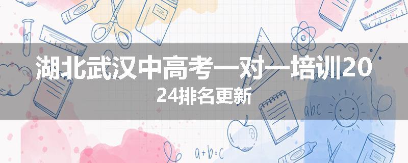 湖北武汉中高考一对一培训2024排名更新