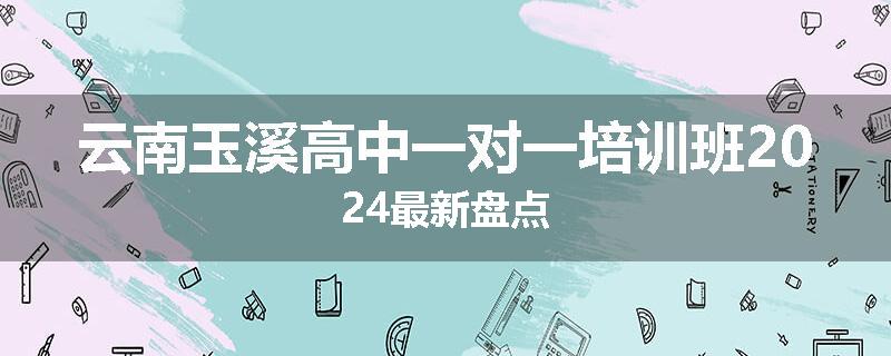 云南玉溪高中一对一培训班2024最新盘点