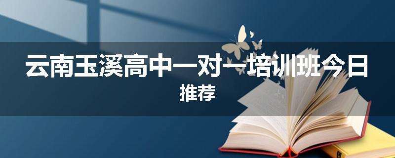 云南玉溪高中一对一培训班今日推荐