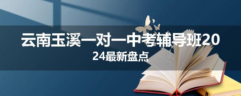 云南玉溪一对一中考辅导班2024最新盘点