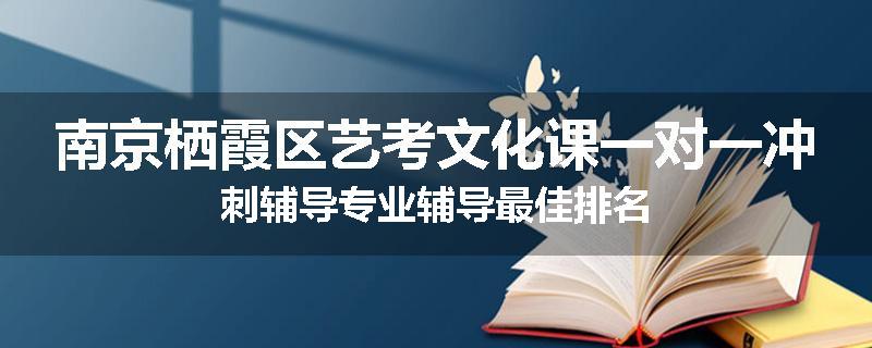 南京栖霞区艺考文化课一对一冲刺辅导专业辅导最佳排名