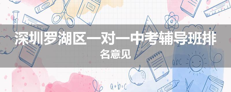 深圳罗湖区一对一中考辅导班排名意见