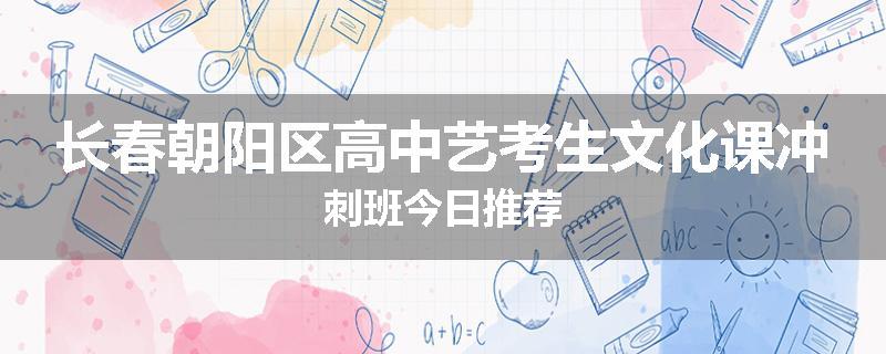 长春朝阳区高中艺考生文化课冲刺班今日推荐
