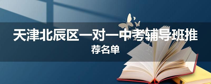 天津北辰区一对一中考辅导班推荐名单