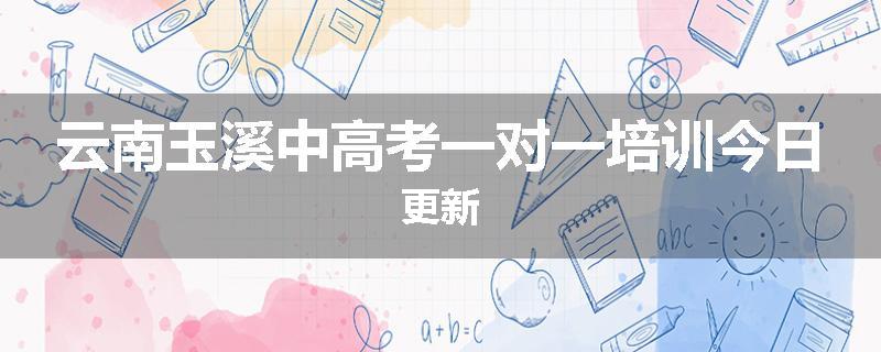 云南玉溪中高考一对一培训今日更新