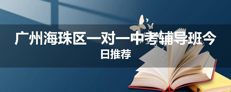 广州海珠区一对一中考辅导班今日推荐