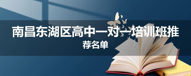 南昌东湖区高中一对一培训班推荐名单