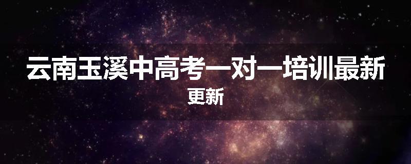 云南玉溪中高考一对一培训最新更新