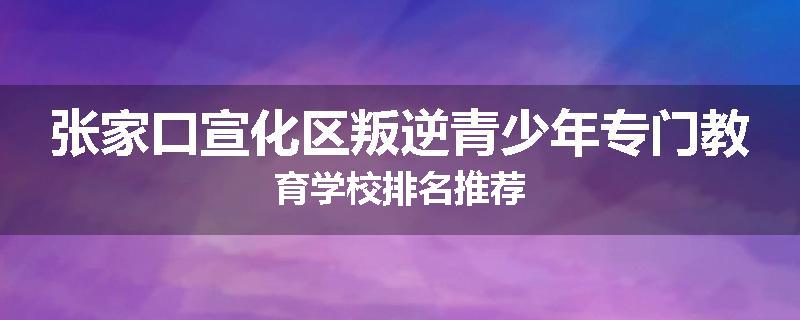 张家口宣化区叛逆青少年专门教育学校排名推荐