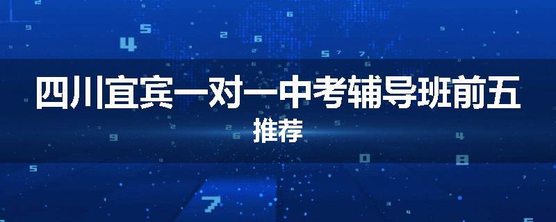 四川宜宾一对一中考辅导班前五推荐