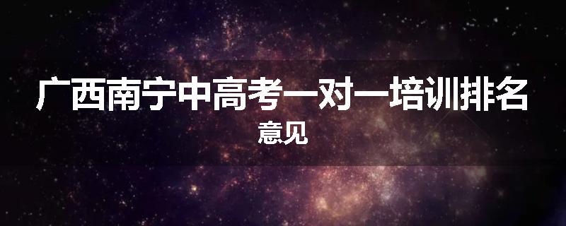 广西南宁中高考一对一培训排名意见