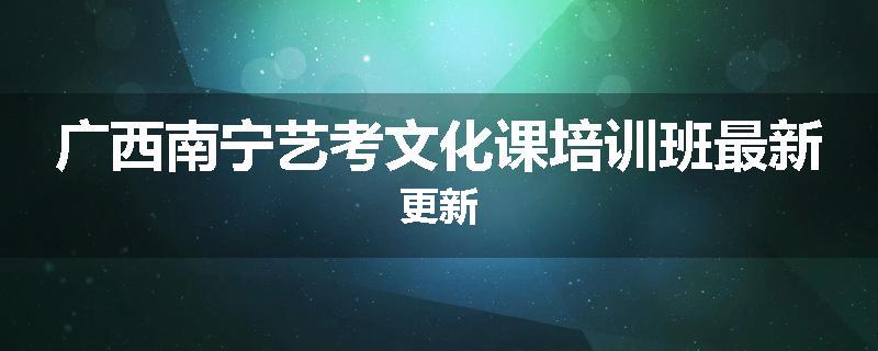 广西南宁艺考文化课培训班最新更新