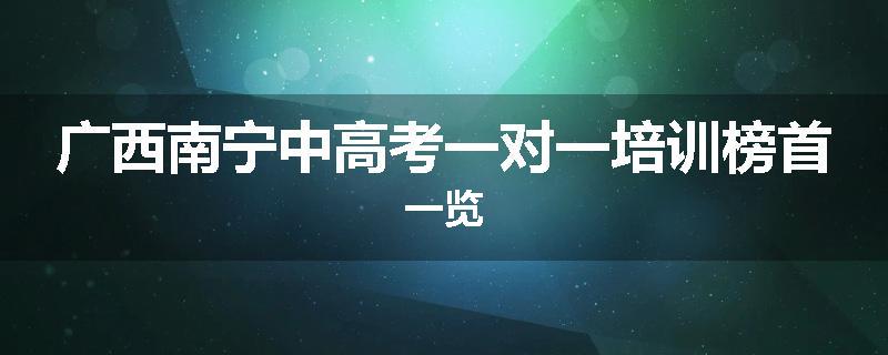 广西南宁中高考一对一培训榜首一览