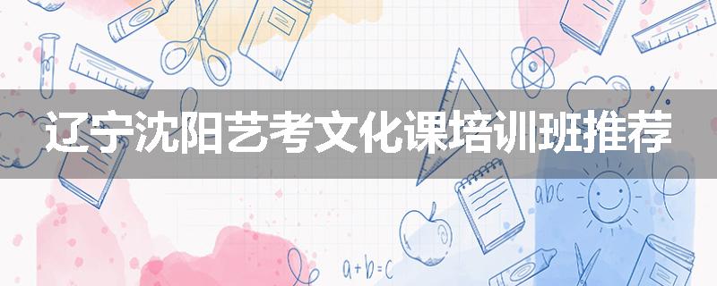辽宁沈阳艺考文化课培训班推荐