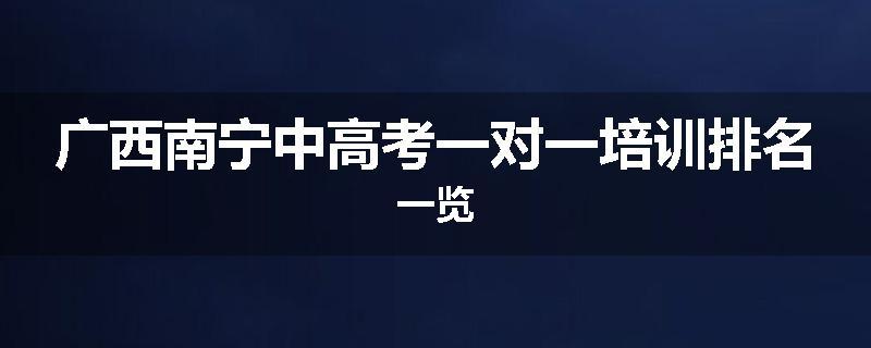 广西南宁中高考一对一培训排名一览
