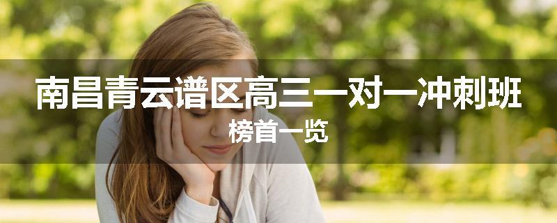 南昌青云谱区高三一对一冲刺班榜首一览