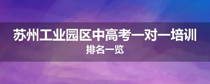 苏州工业园区中高考一对一培训排名一览