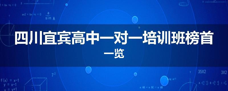 四川宜宾高中一对一培训班榜首一览
