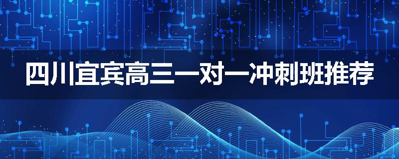 四川宜宾高三一对一冲刺班推荐