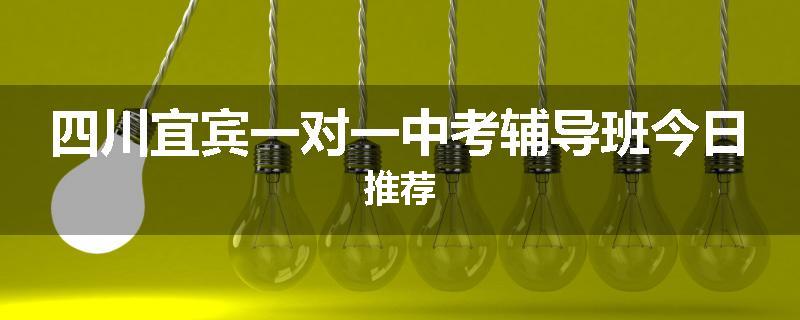 四川宜宾一对一中考辅导班今日推荐