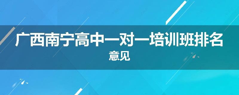 广西南宁高中一对一培训班排名意见