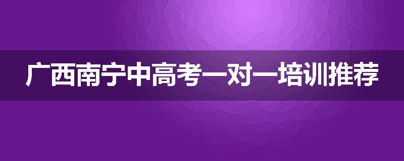 广西南宁中高考一对一培训推荐