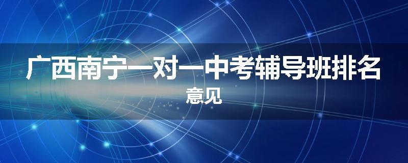 广西南宁一对一中考辅导班排名意见