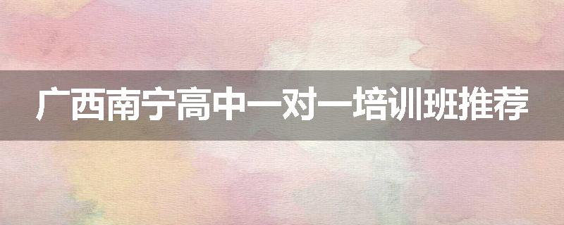 广西南宁高中一对一培训班推荐