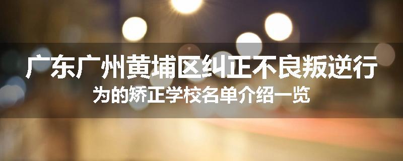 广东广州黄埔区纠正不良叛逆行为的矫正学校名单介绍一览