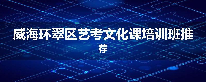 威海环翠区艺考文化课培训班推荐