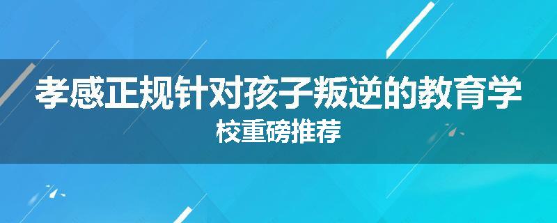 孝感正规针对孩子叛逆的教育学校重磅推荐