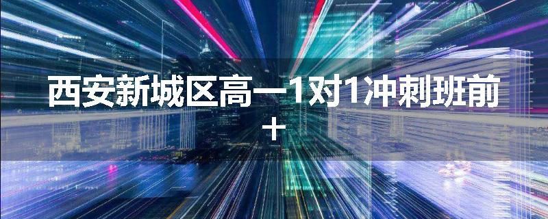 西安新城区高一1对1冲刺班前十