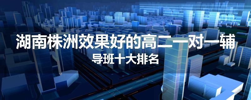 湖南株洲效果好的高二一对一辅导班十大排名