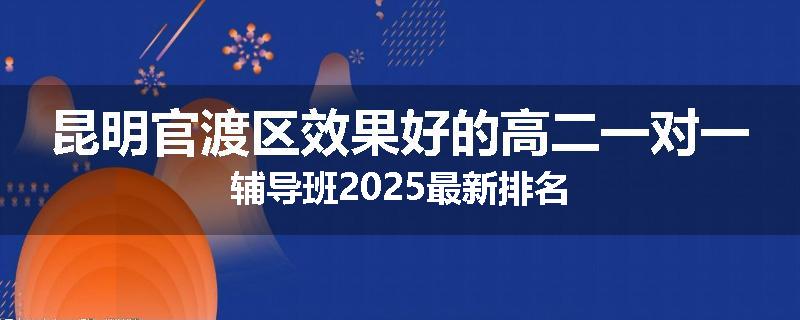 昆明官渡区效果好的高二一对一辅导班2025最新排名