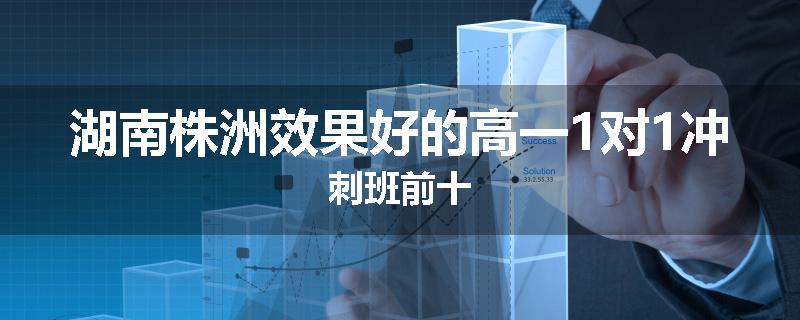 湖南株洲效果好的高一1对1冲刺班前十