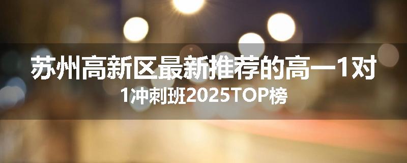苏州高新区最新推荐的高一1对1冲刺班2025TOP榜